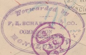 F. A. Schaeffer 94 - Feb 19