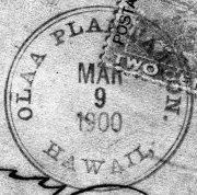 Olaa Plantation 259_01 00 - Mar 9 Gary detail retroreveal