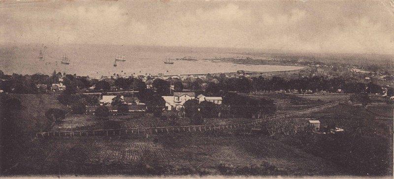 Hilo 99 - Dec 29 postal card