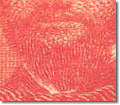 31a pos 18 beard-600